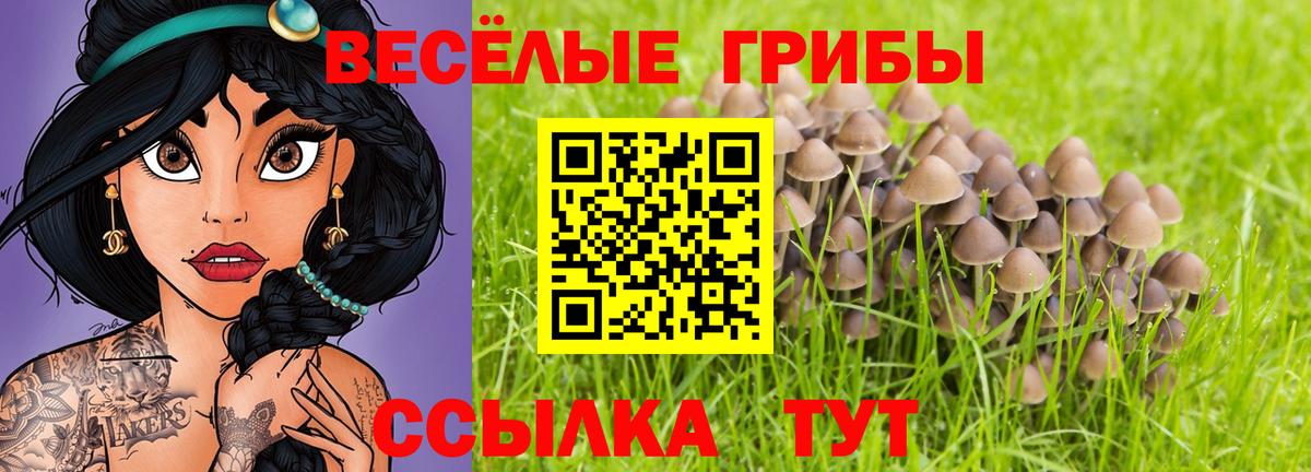 Петропавловск-Камчатский  Галлюциногенные грибы Cubensis  Псилоцибиновые грибы прущие грибы  Вход с VPN 